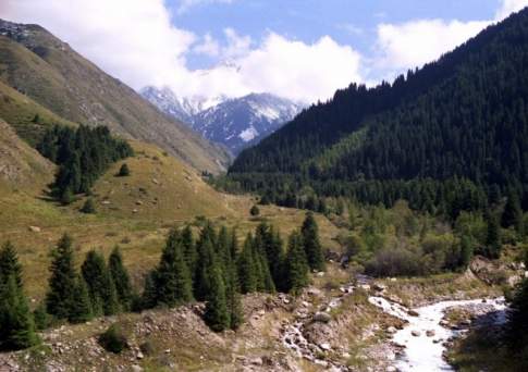 Найден мертвым пропавший без вести житель Алматинской области